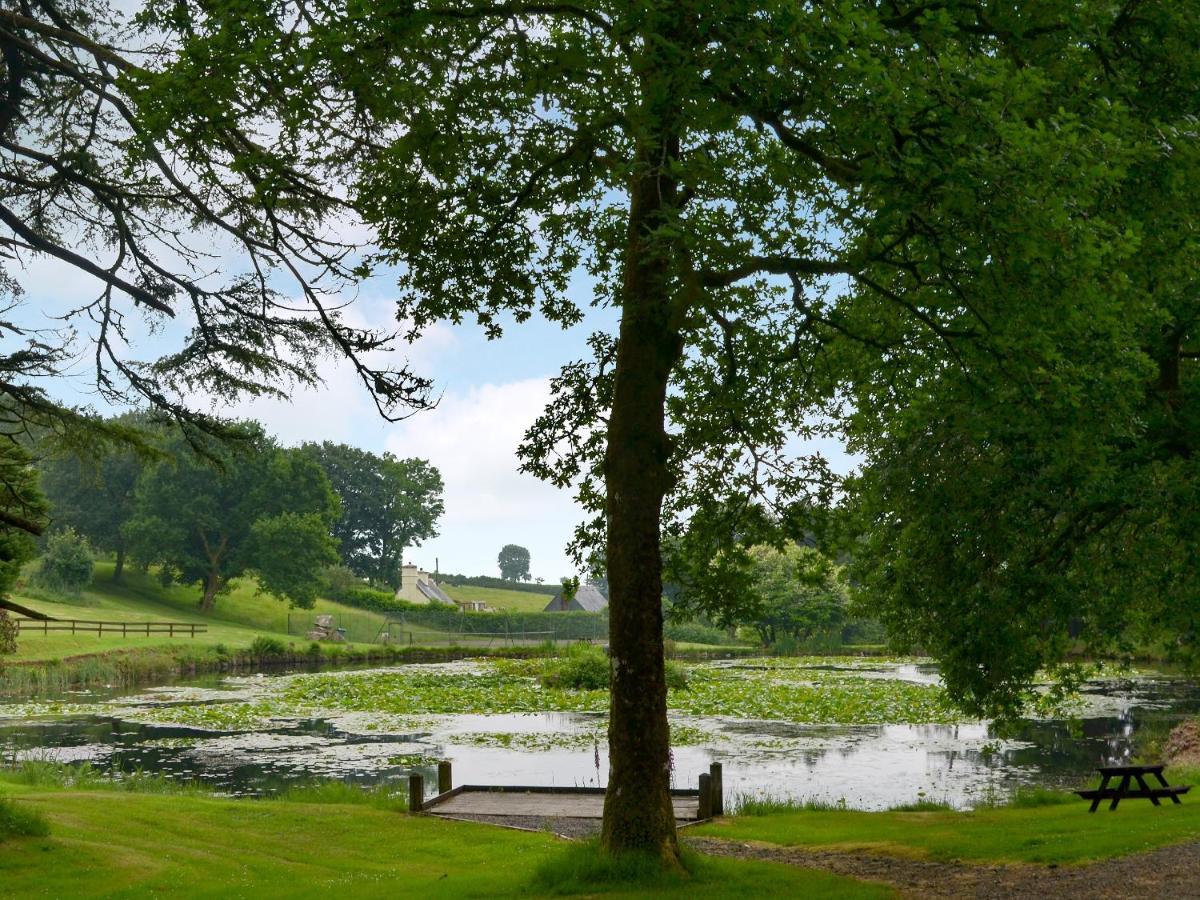 Riverside Cottage - B6859 Saint Cleer Esterno foto